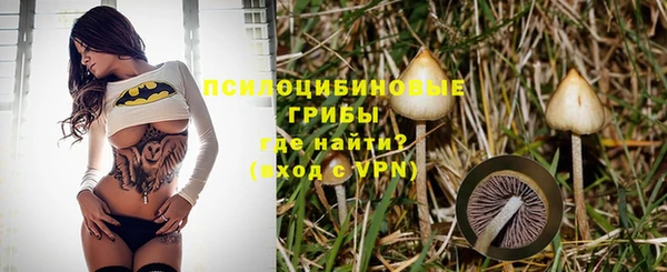 apvp Лагань