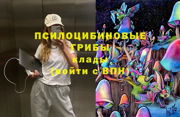 apvp Лагань