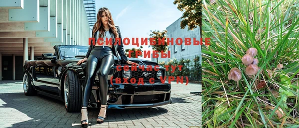 apvp Лагань