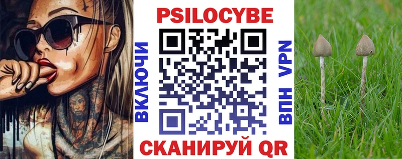 как найти закладки  Старица  mega зеркало  Псилоцибиновые грибы мицелий 